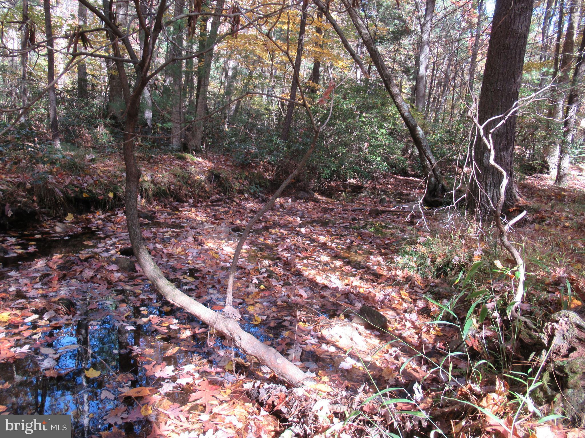 250 Norris Road Biglerville, PA 17307 - Photo 22 of 22 Creek/Stream