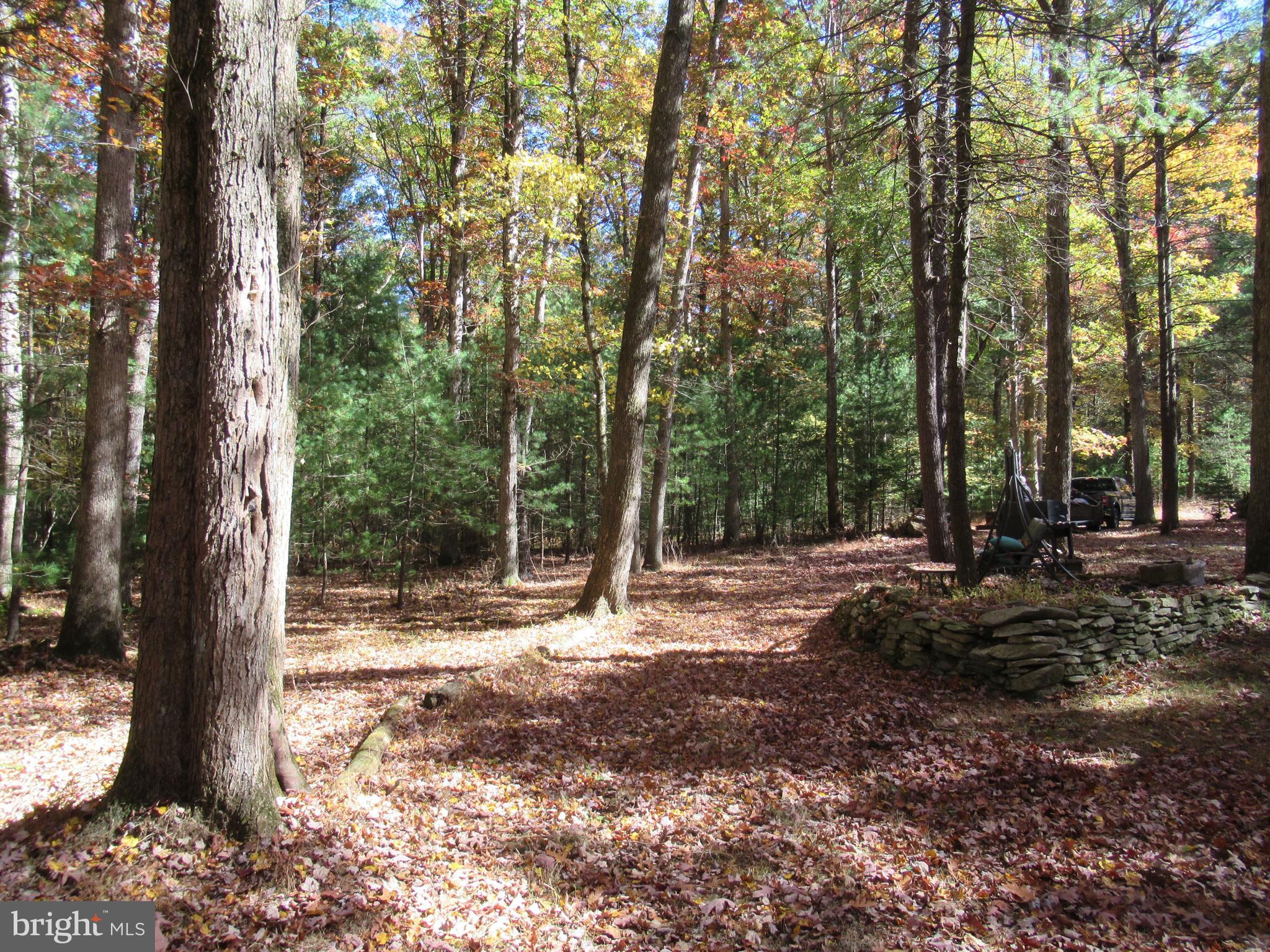 250 Norris Road Biglerville, PA 17307 - Photo 4 of 22 Side Yard