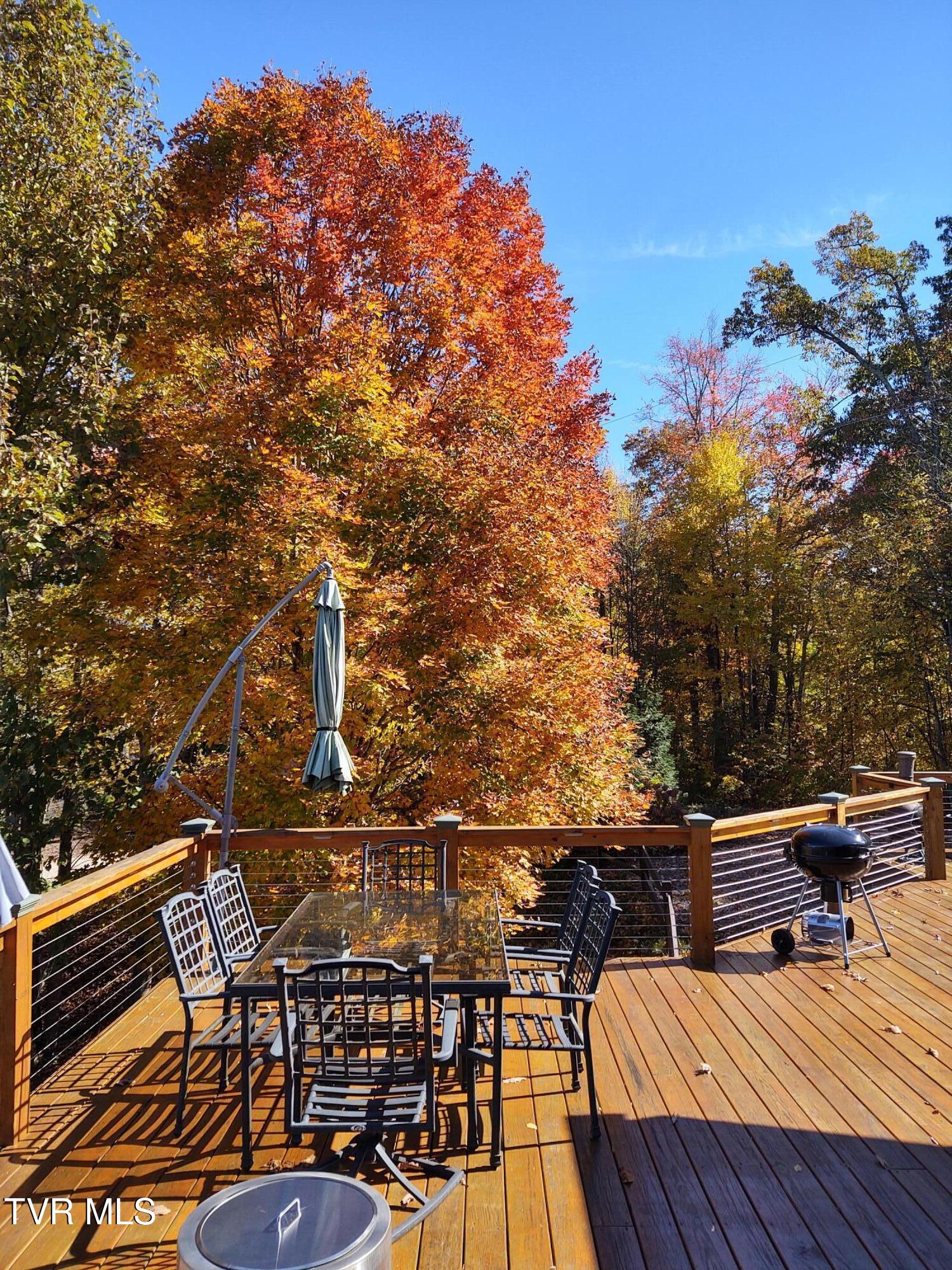 807 Vista Road Butler, TN 37640 - Photo 51 of 61 807 Vista in the fall