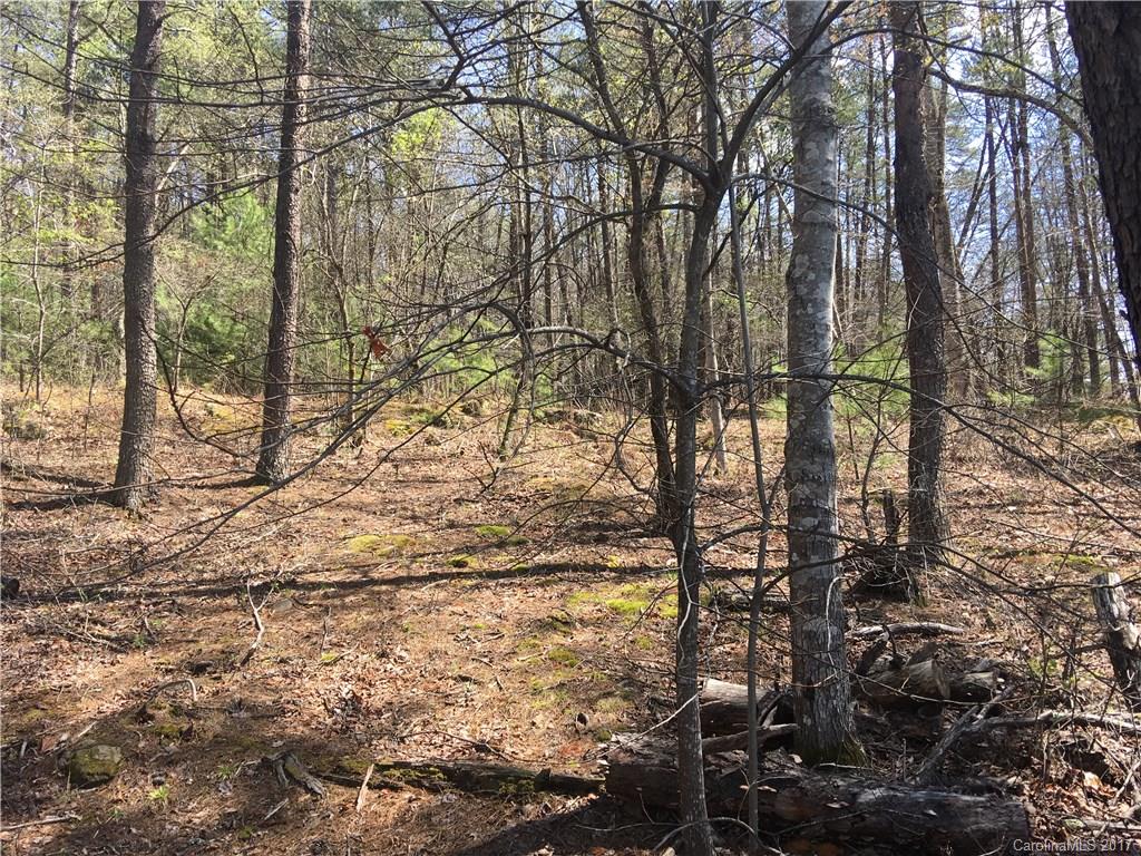 Lot 10 South Cove Rd Mill Spring Mill Spring, NC 28756 - Photo 11 of 14
