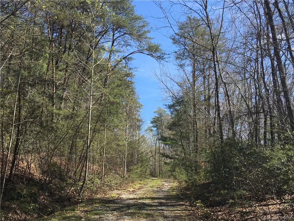 Lot 10 South Cove Rd Mill Spring Mill Spring, NC 28756 - Photo 12 of 14