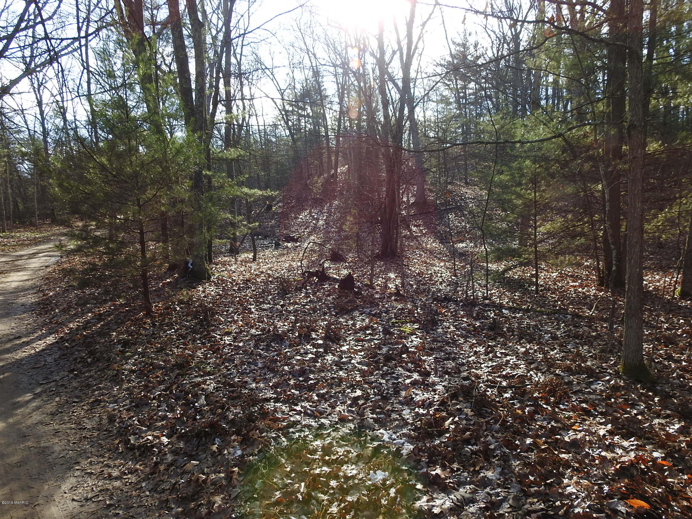 Longbridge Road Pentwater, MI 49449 - Photo 2 of 14 DSCN0384