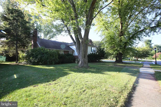 a view of backyard with large trees