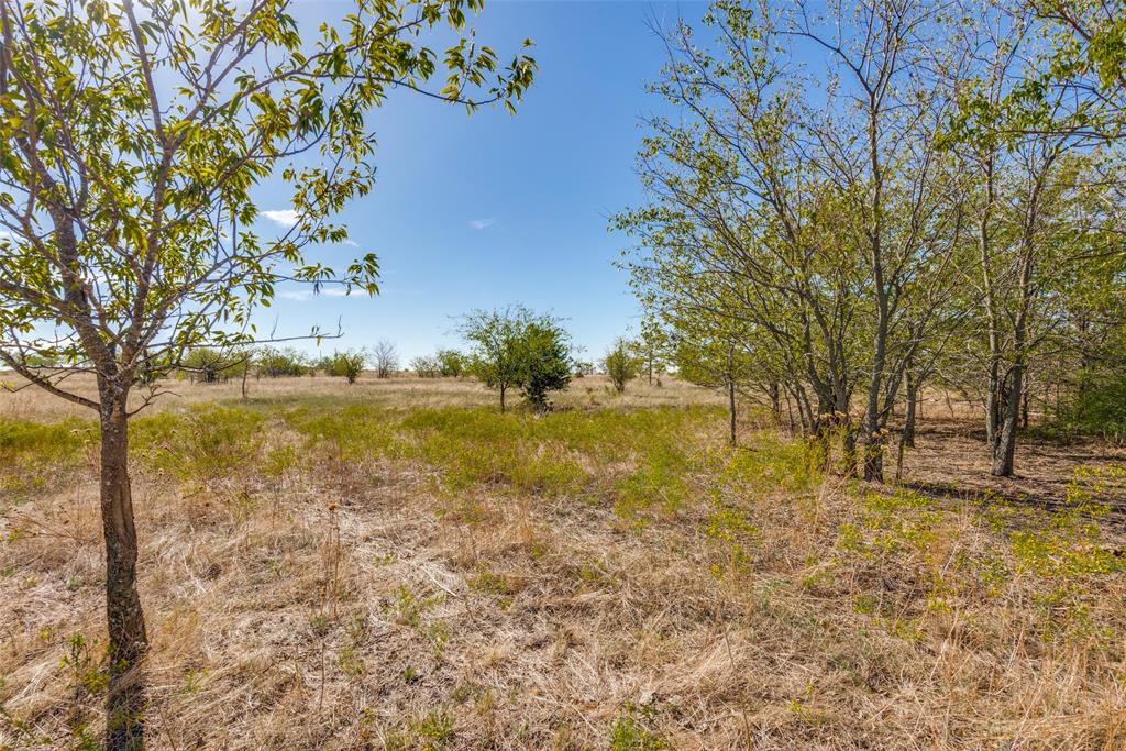 2735 County Road 2735 Decatur, TX 76234 - Photo 10 of 18 a view of yard with swimming pool and green space