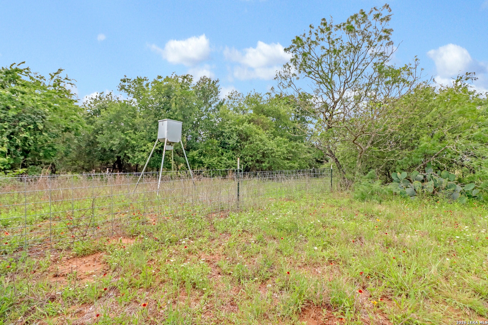 Tbd Cross Road Seguin, TX 78155 - Photo 18 of 23