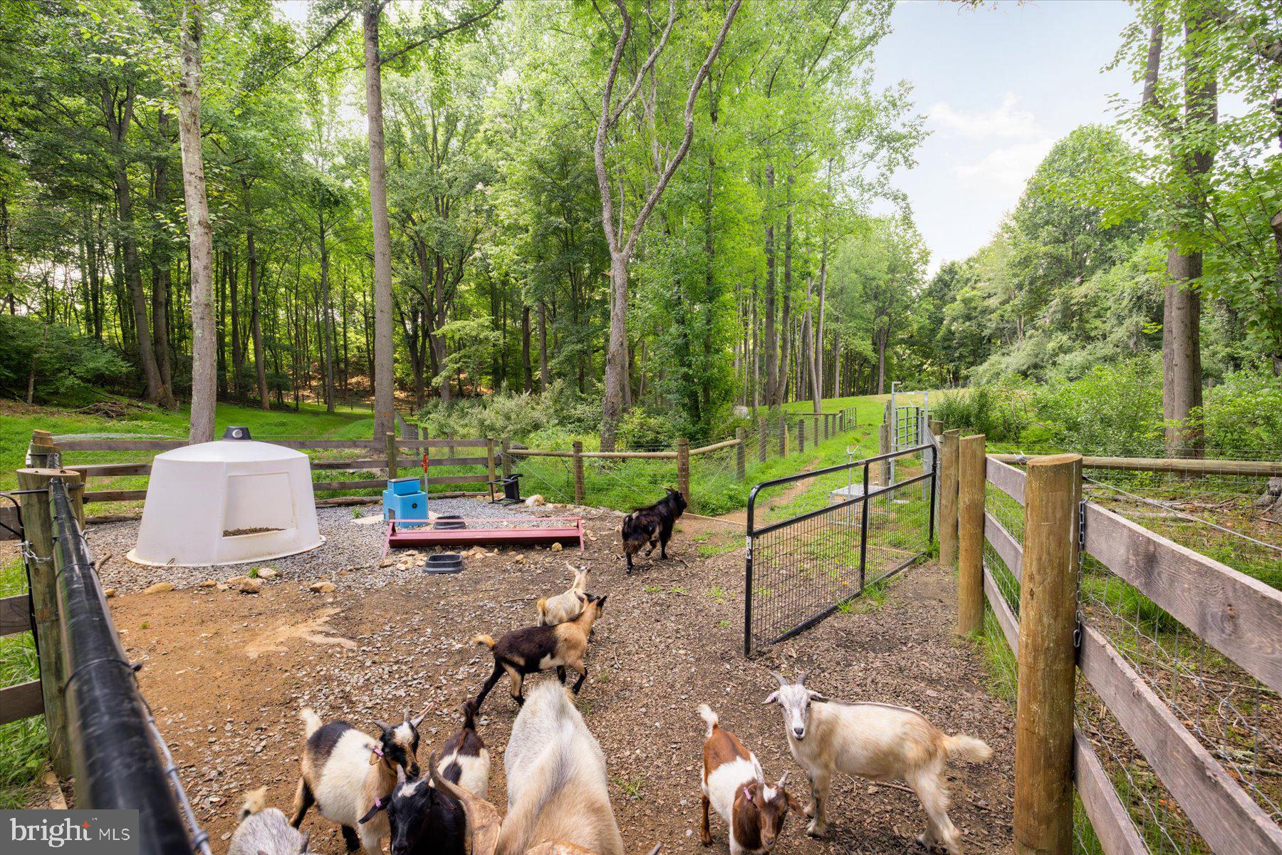 5770 Keyser Road Hume, VA 22639 - Photo 32 of 43 Gallery Image 32