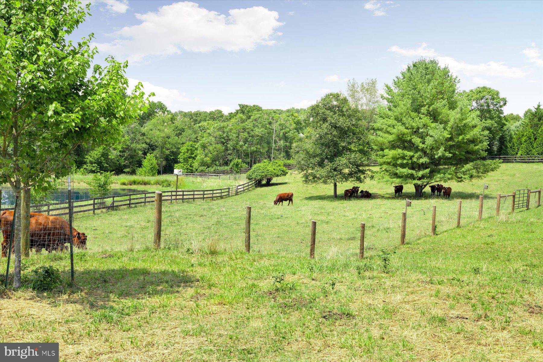 5770 Keyser Road Hume, VA 22639 - Photo 33 of 43 Gallery Image 33