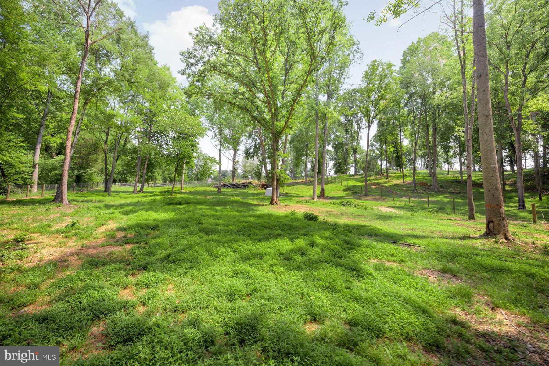 5770 Keyser Road Hume, VA 22639 - Photo 39 of 43 Gallery Image 39