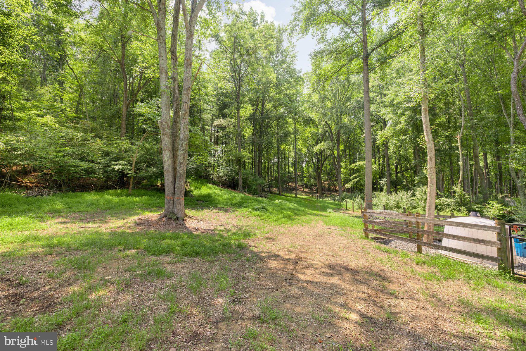 5770 Keyser Road Hume, VA 22639 - Photo 40 of 43 Gallery Image 40