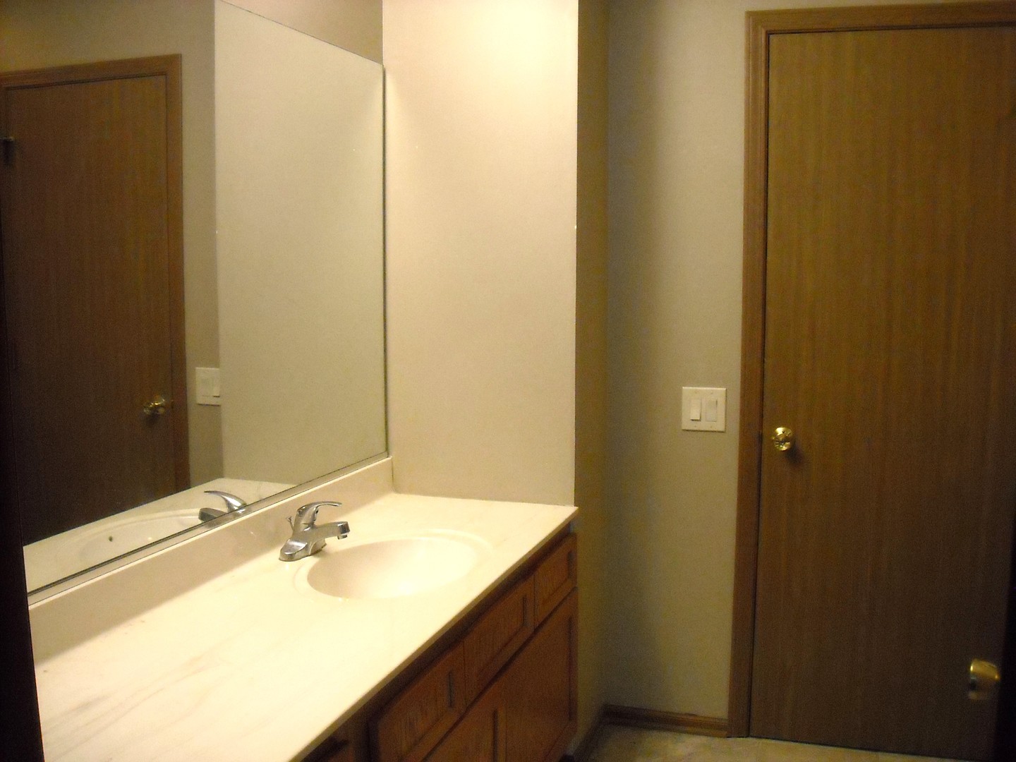 Undisclosed Address Aurora, IL 60504 - Photo 7 of 12 a bathroom with a sink and a mirror