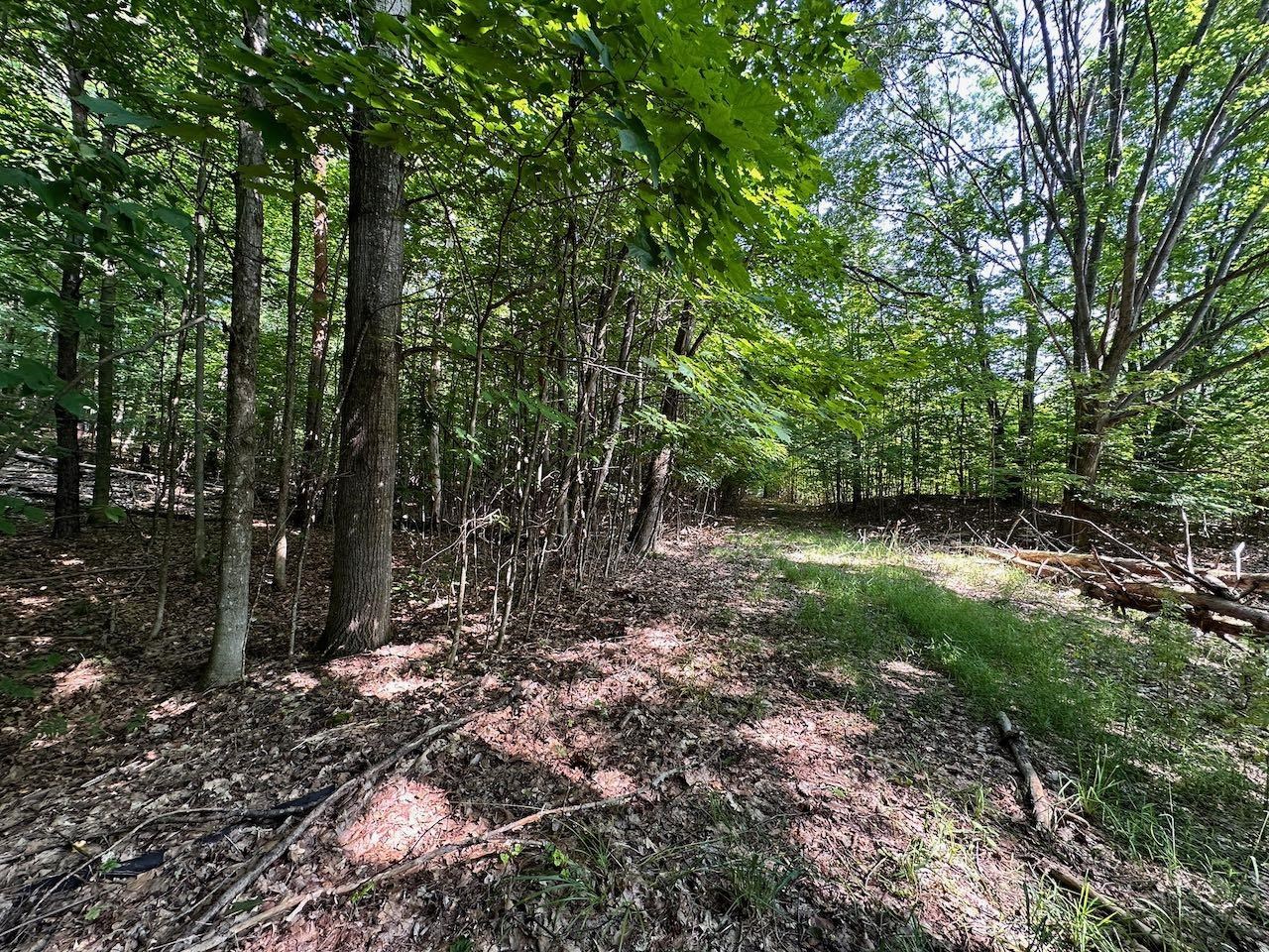 0 John R Rodgers Road Bellaire, MI 49615 - Photo 23 of 25