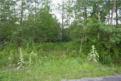 40 West Cottage Grove Road Linwood, MI 48634 - Photo 5 of 8 Additional Photo