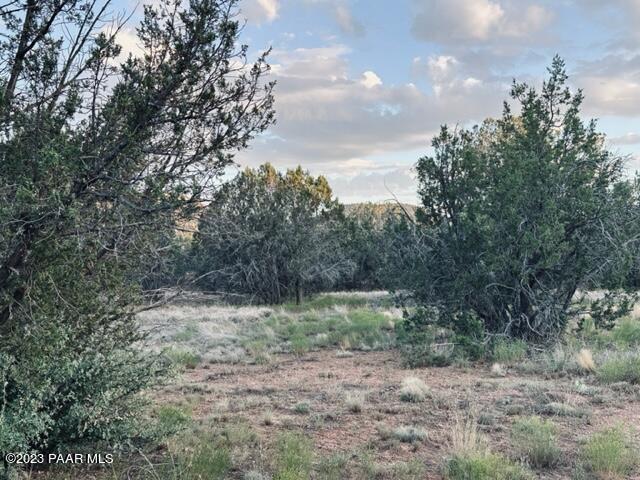 88- Stockmans Road Ash Fork, AZ 86320 - Photo 16 of 17 IMG_5847