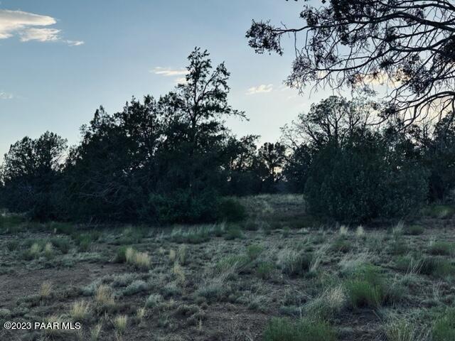 88- Stockmans Road Ash Fork, AZ 86320 - Photo 17 of 17 IMG_5848