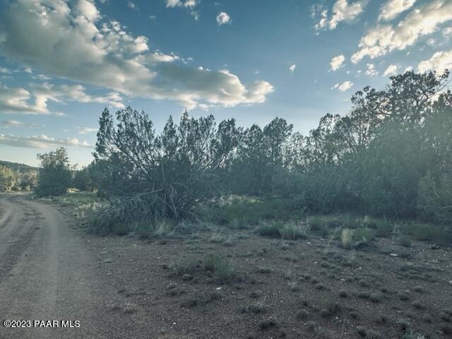 88- Stockmans Road Ash Fork, AZ 86320 - Photo 4 of 17 IMG_5834