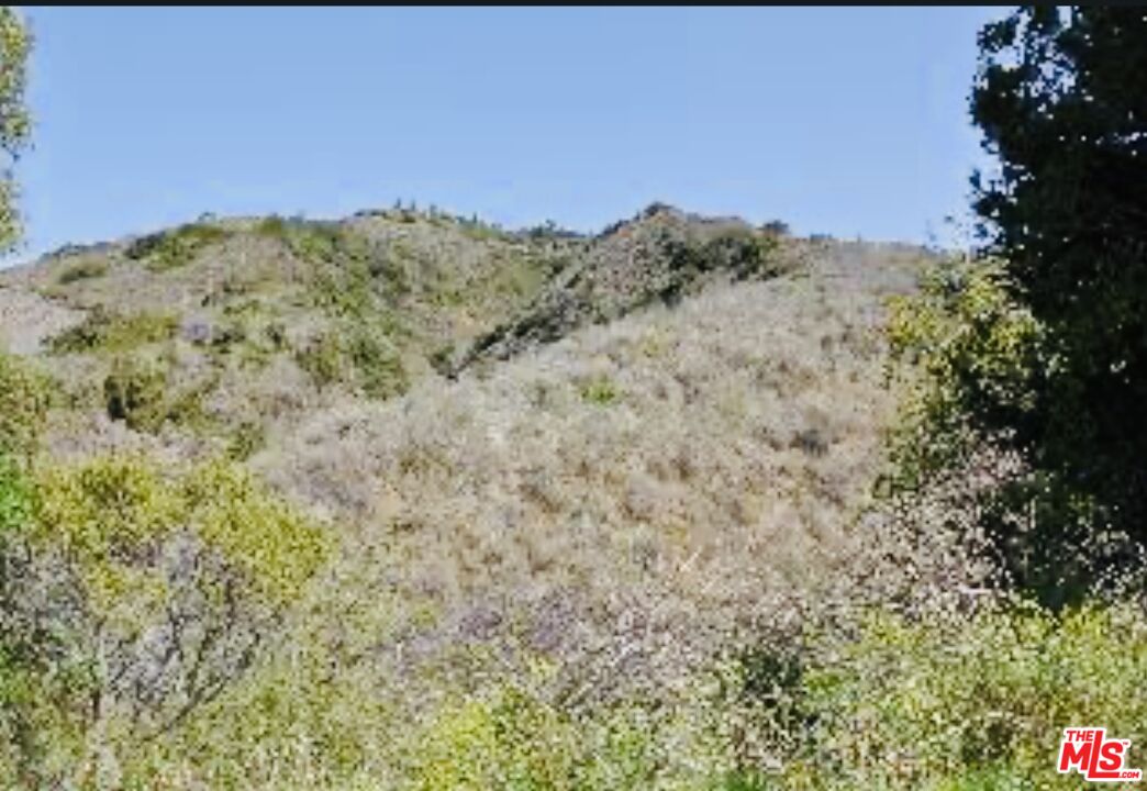 5812 Ramirez Canyon Road Malibu, CA 90265 - Photo 5 of 9 a view of a field