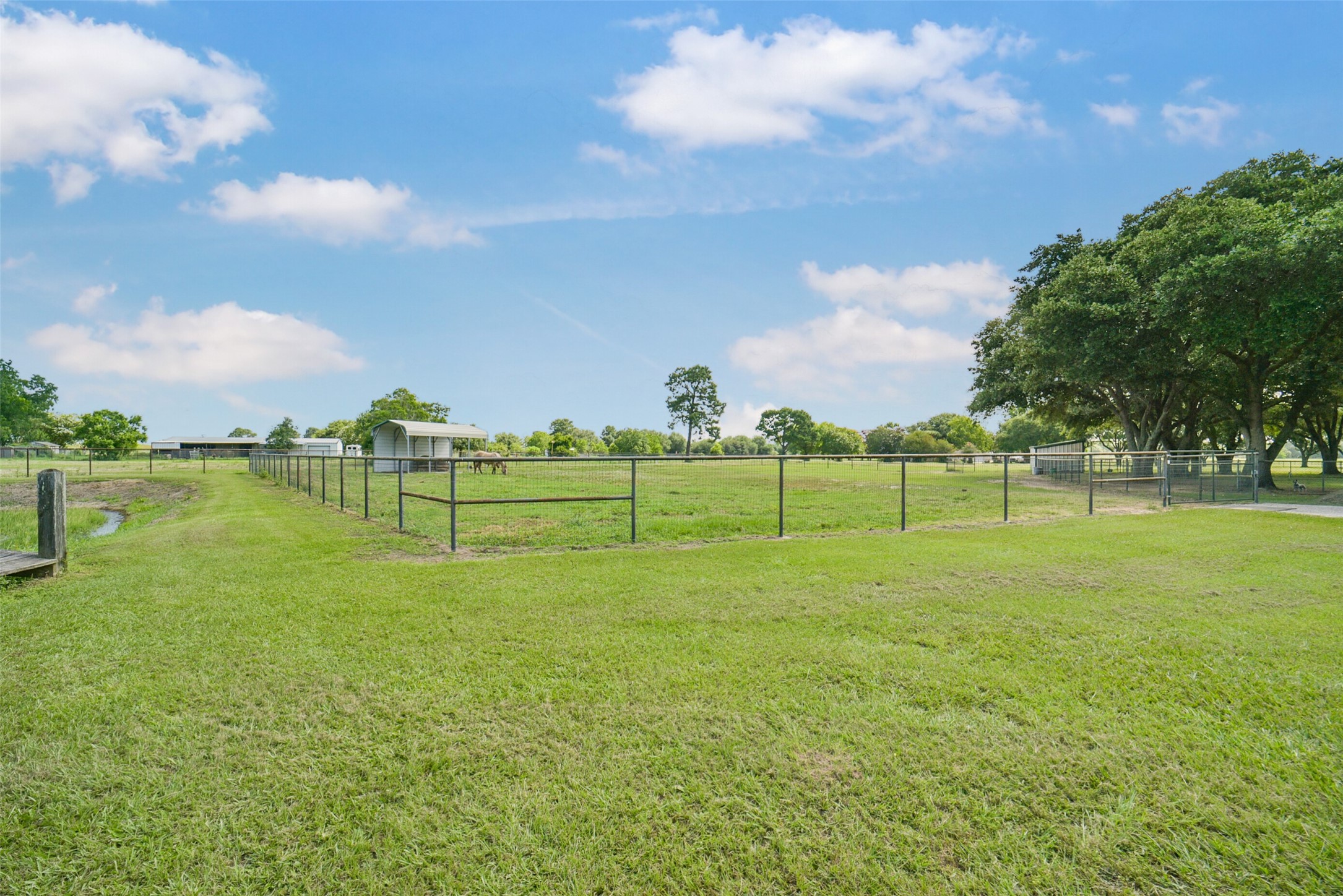 29103 Quail Nest Road Hockley, TX 77447 - Photo 20 of 49 Acreage / Pastures are all fenced