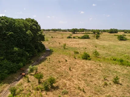 a view of an ocean beach