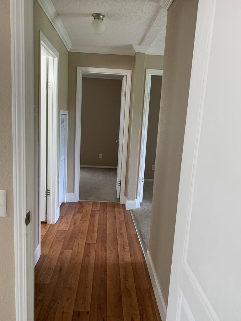 1147 Chewning Road Pinewood, SC 29125 - Photo 16 of 23