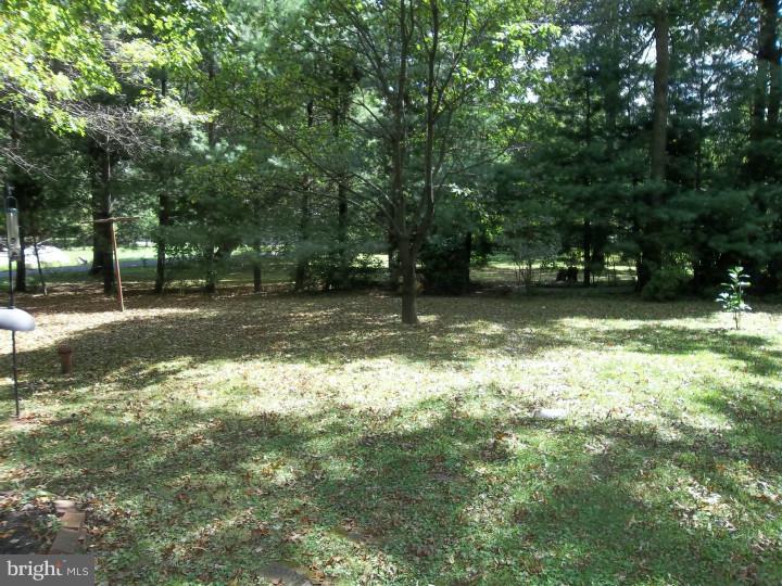 131 Knapp Road Lansdale, PA 19446 - Photo 16 of 19 Back Yard