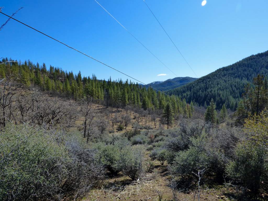 0 Greenhorn Road Yreka, CA 96097 - Photo 26 of 27 Gallery Image 26