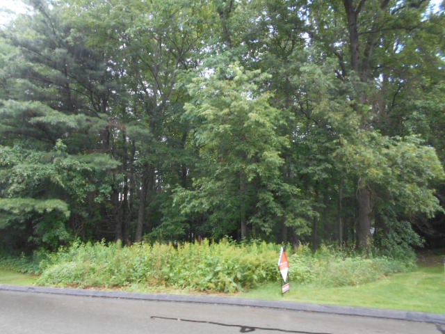 0 Ridgewood Road Shippenville, PA 16254 - Photo 3 of 3 Gallery Image 3
