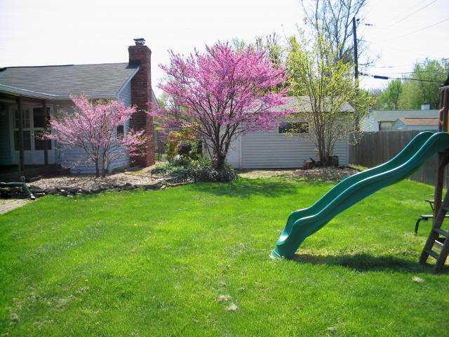 7250 Griffith Road Indianapolis, IN 46227 - Photo 11 of 12 Gallery Image 11