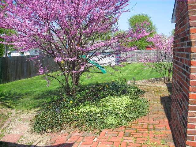 7250 Griffith Road Indianapolis, IN 46227 - Photo 12 of 12 Gallery Image 12