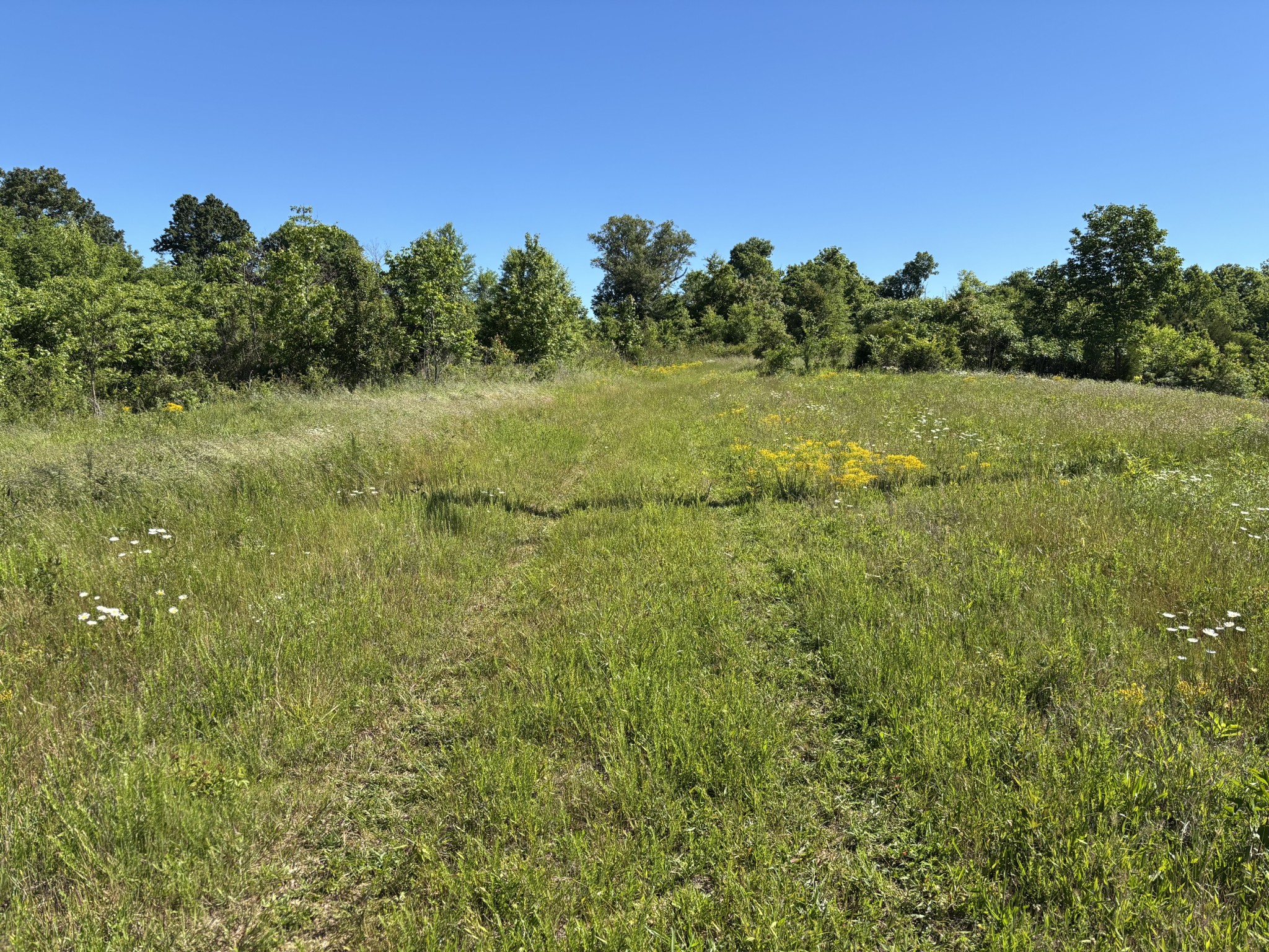 3275 Sweethome Road Chapmansboro, TN 37035 - Photo 8 of 9 Gallery Image 8