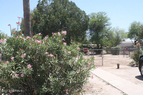 2731 West Curtis Road Tucson, AZ 85705 - Photo 4 of 4 Gallery Image 4