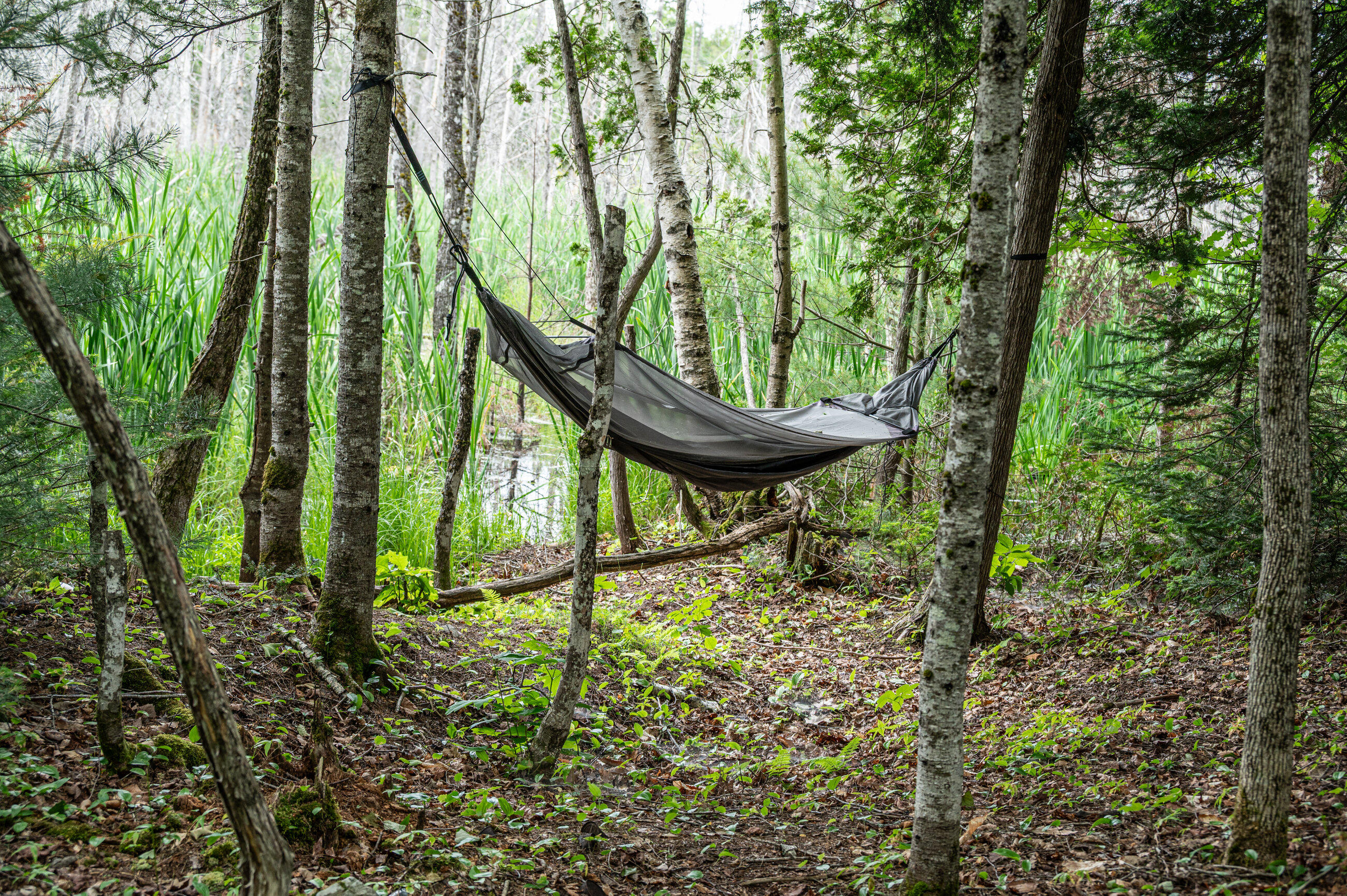 143 Mayfield Road Moscow, ME 04920 - Photo 70 of 84 Exterior-9850