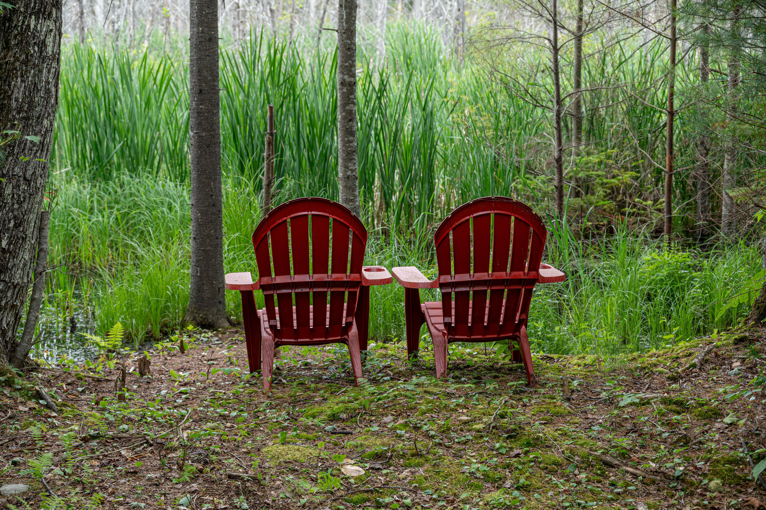 143 Mayfield Road Moscow, ME 04920 - Photo 72 of 84 Exterior-9851