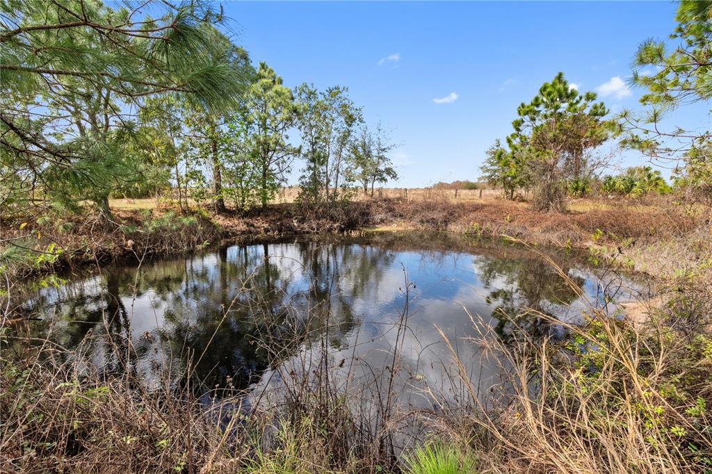 28265 Northeast 65th Terrace Okeechobee, FL 34972 - Photo 9 of 17