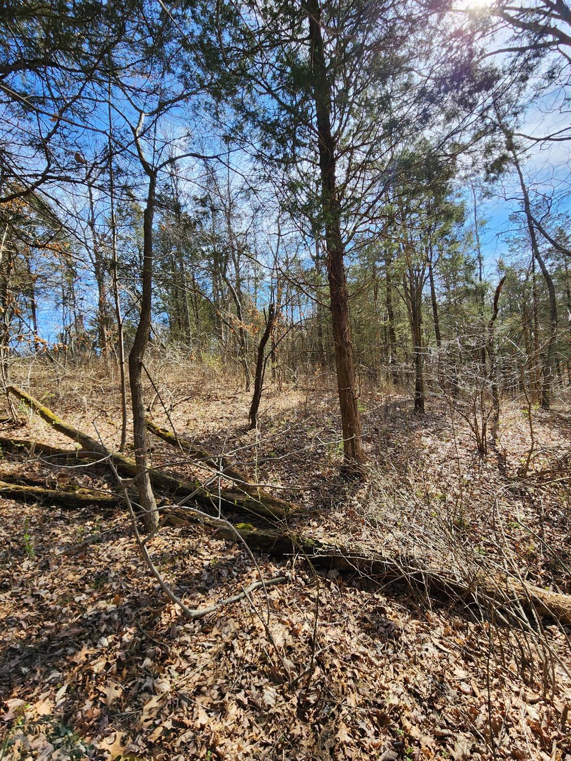 0 Sullivan Road Vevay, IN 47043 - Photo 14 of 61 Gallery Image 14