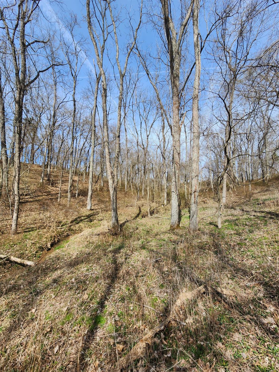 0 Sullivan Road Vevay, IN 47043 - Photo 54 of 61 Gallery Image 54