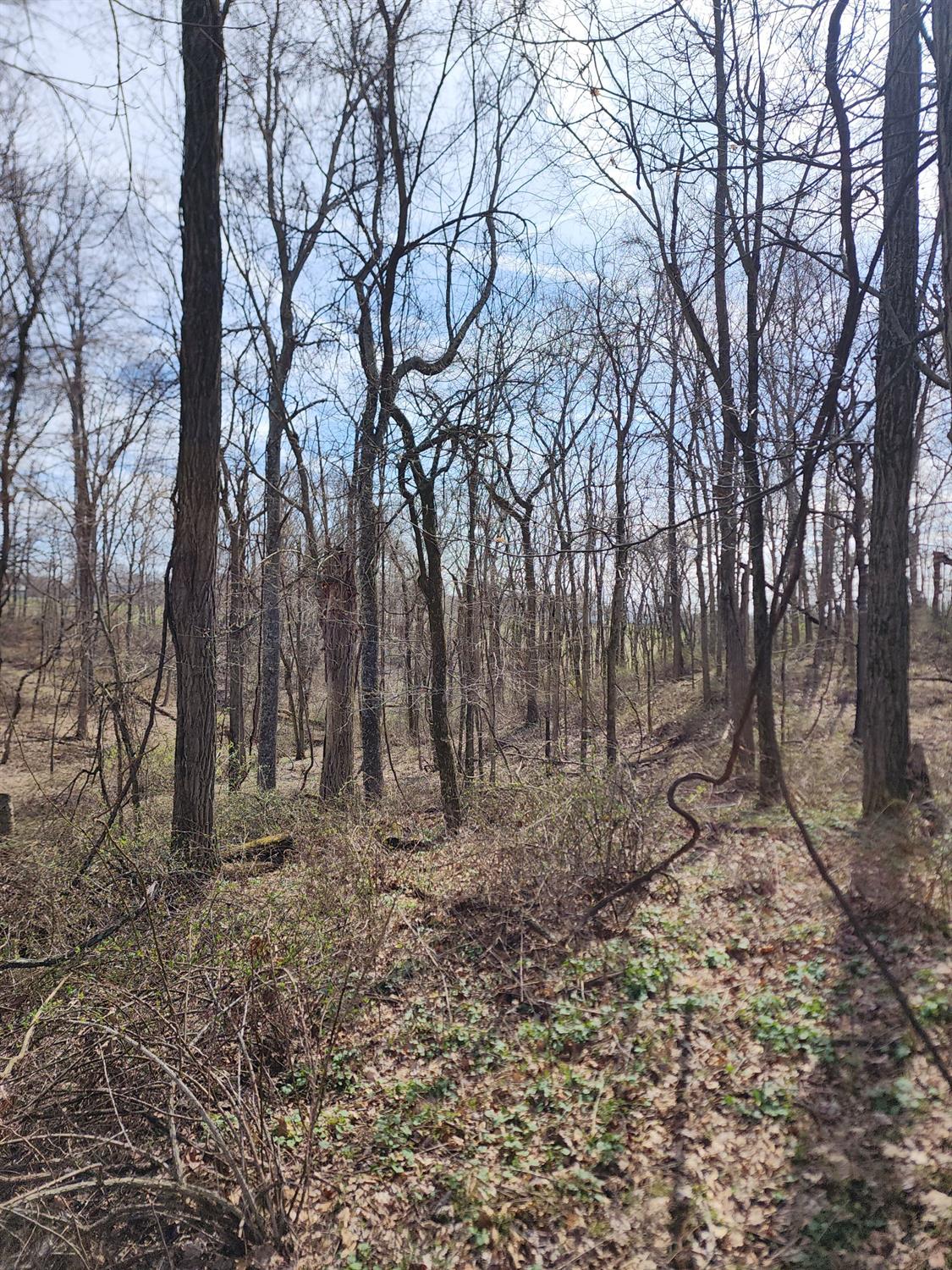 0 Sullivan Road Vevay, IN 47043 - Photo 59 of 61 Gallery Image 59