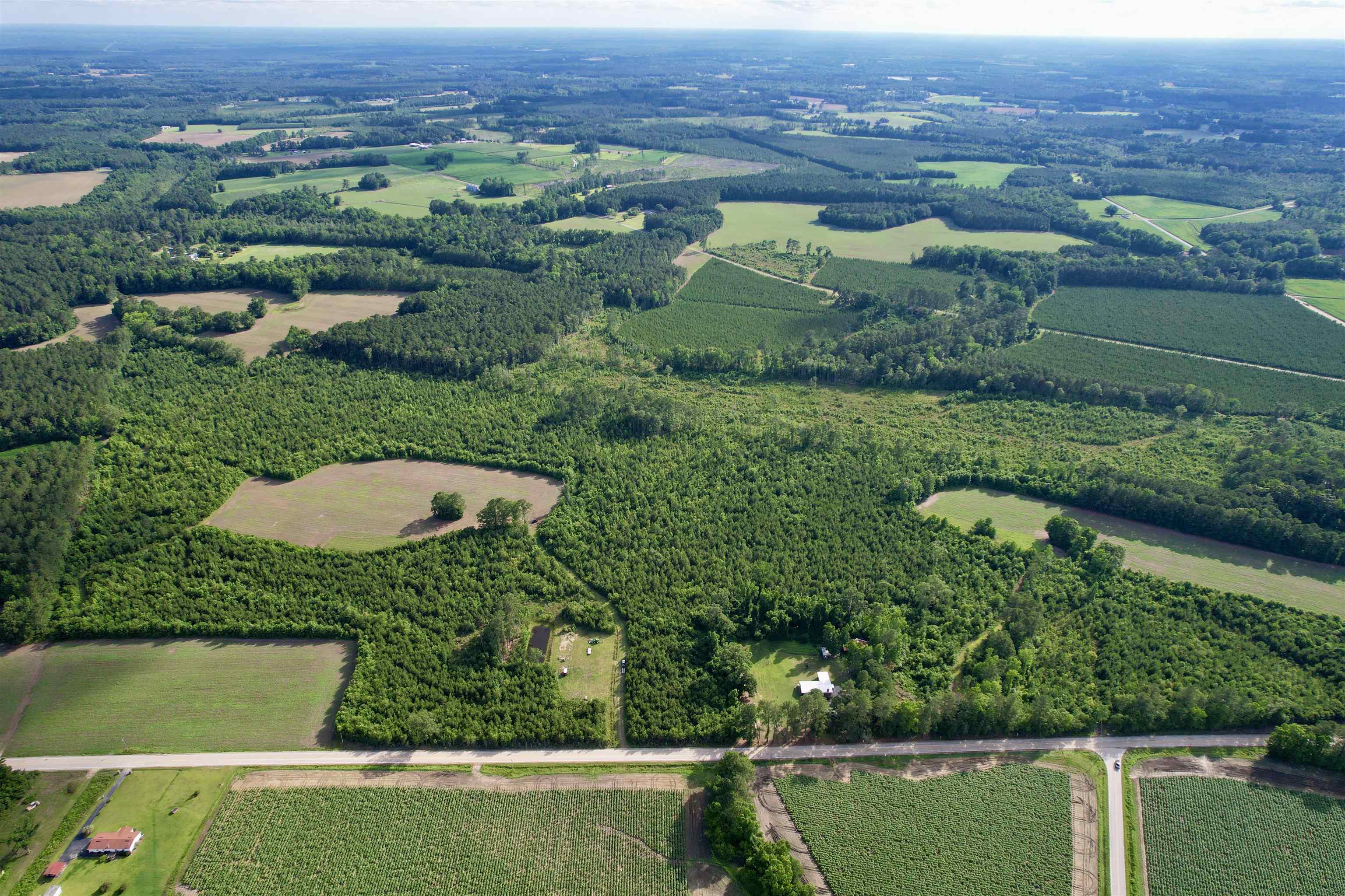 85-acres - Muddy Creek Road Hemingway, SC 29554 - Photo 22 of 31