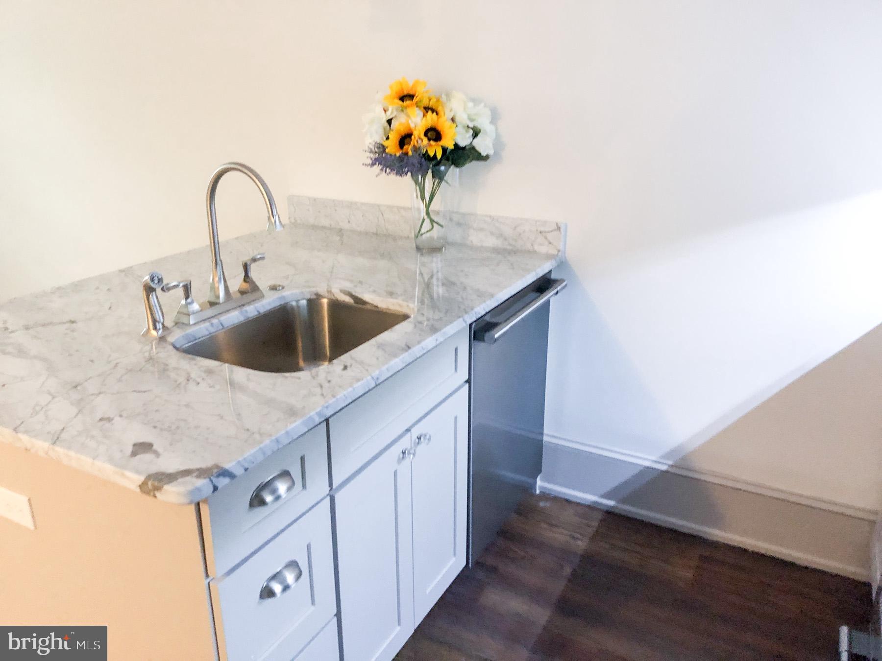 1302 East Capitol Street Northeast, Unit B Washington, DC 20003 - Photo 8 of 23 a kitchen with a sink and a potted plant