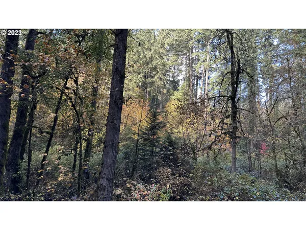 a black and white photo of a building