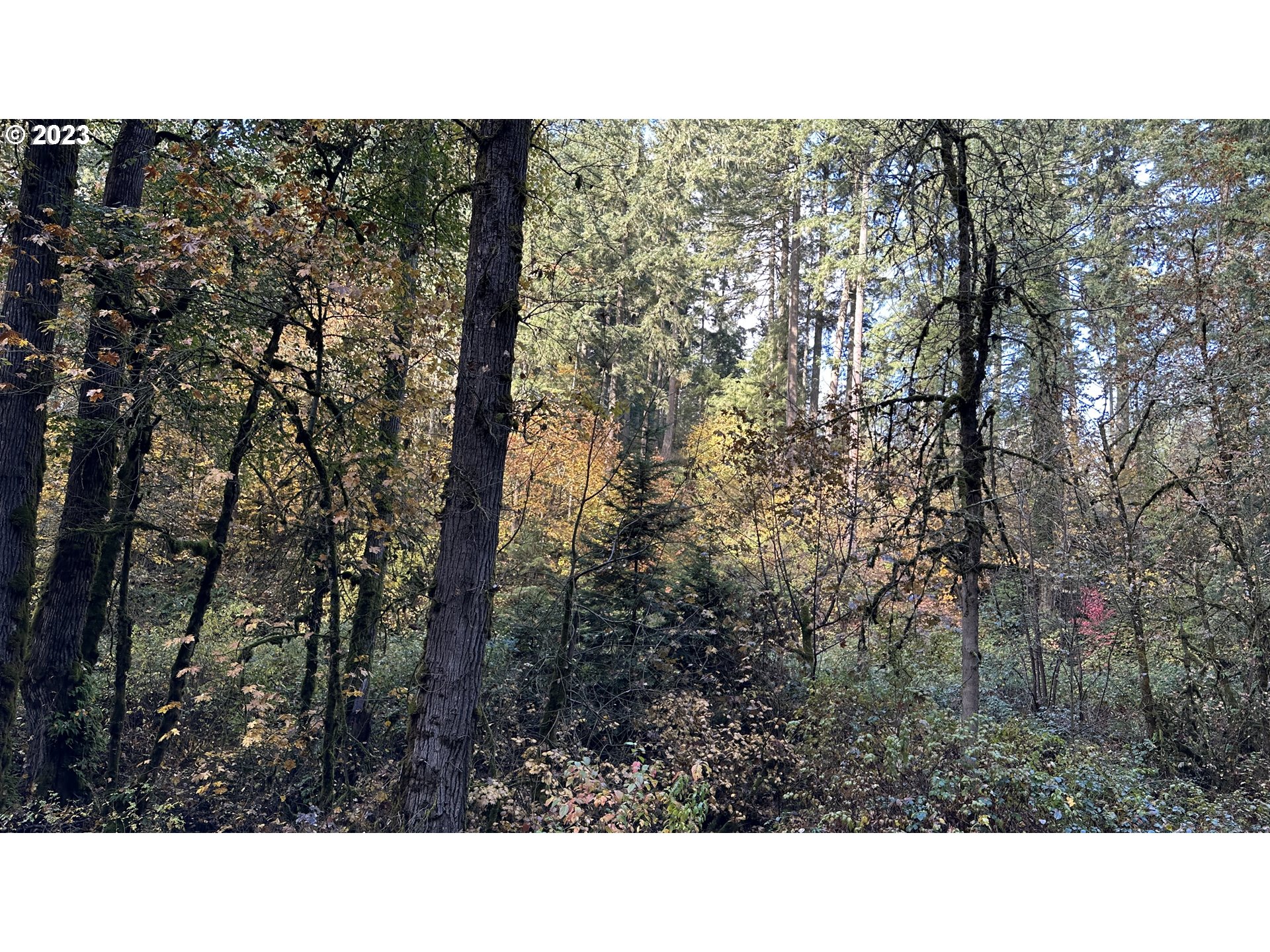 86134 Lorane Highway Eugene, OR 97405 - Photo 2 of 7 a black and white photo of a building