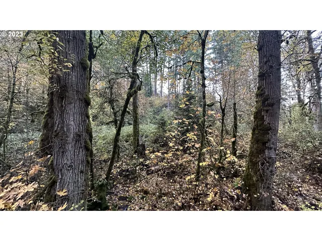 a black and white photo of a house