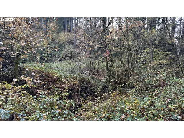 a open area of a house