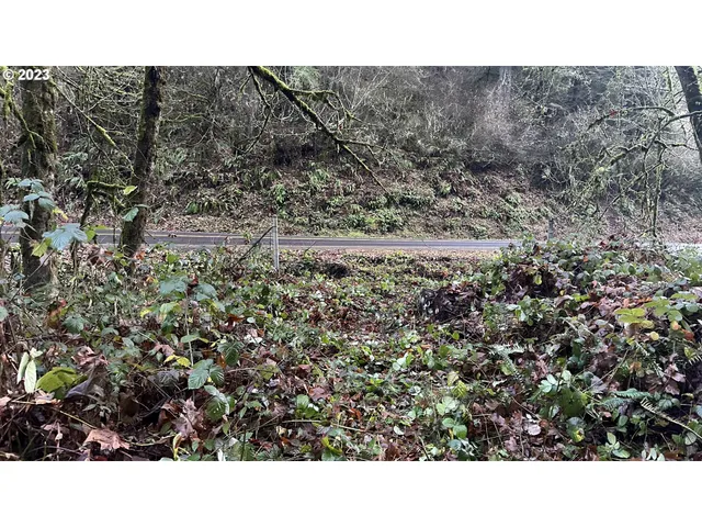 a open area of a house