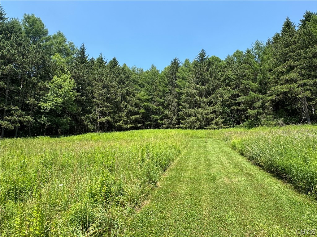 1 Bonney Hill Road Hamilton, NY 13346 - Photo 15 of 17