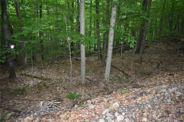 $39,900 | Lot 11-13 Mohawk Drive West, Old Forge, NY 13420