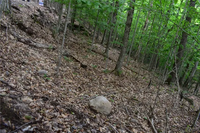 $39,900 | Lot 11-13 Mohawk Drive West, Old Forge, NY 13420