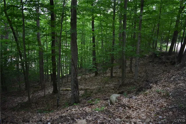 $39,900 | Lot 11-13 Mohawk Drive West, Old Forge, NY 13420