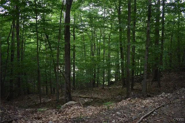 $39,900 | Lot 11-13 Mohawk Drive West, Old Forge, NY 13420