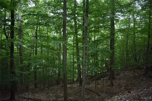 $39,900 | Lot 11-13 Mohawk Drive West, Old Forge, NY 13420