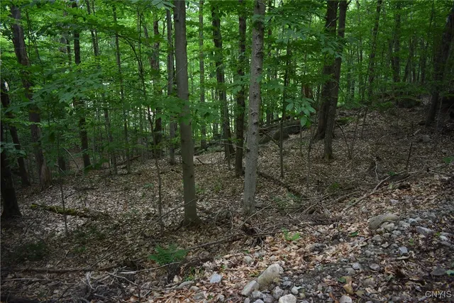 $39,900 | Lot 11-13 Mohawk Drive West, Old Forge, NY 13420